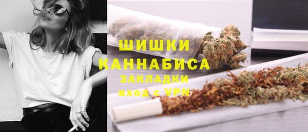 ГАЛЛЮЦИНОГЕННЫЕ ГРИБЫ Заводоуковск