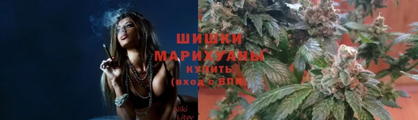 ГАЛЛЮЦИНОГЕННЫЕ ГРИБЫ Заводоуковск