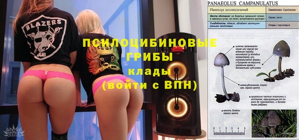 ГАЛЛЮЦИНОГЕННЫЕ ГРИБЫ Заводоуковск
