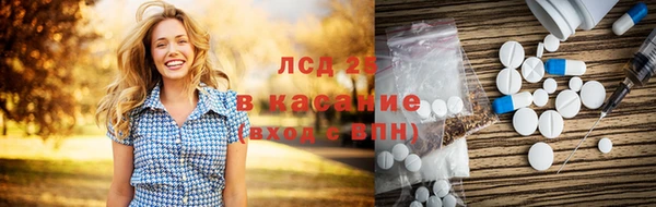 ГАЛЛЮЦИНОГЕННЫЕ ГРИБЫ Заводоуковск
