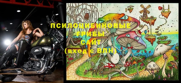 ГАЛЛЮЦИНОГЕННЫЕ ГРИБЫ Заводоуковск