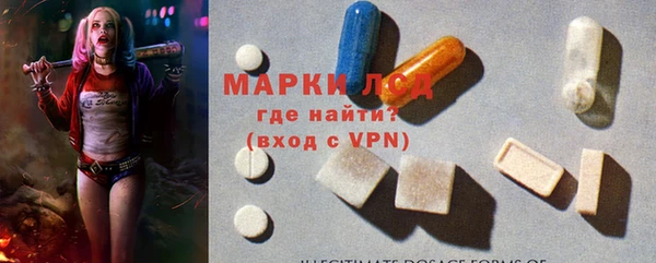ГАЛЛЮЦИНОГЕННЫЕ ГРИБЫ Заводоуковск