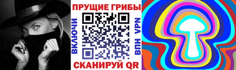 Купить где  Салехард  Галлюциногенные грибы Cubensis 